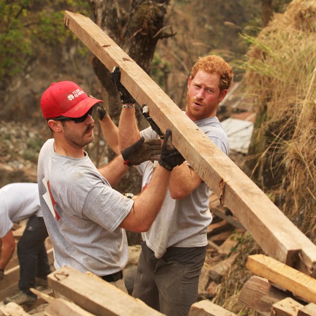 Prince Harry 