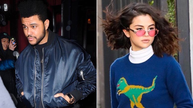 Selena Gomez and The Weeknd going puppy shopping is couple goals ...