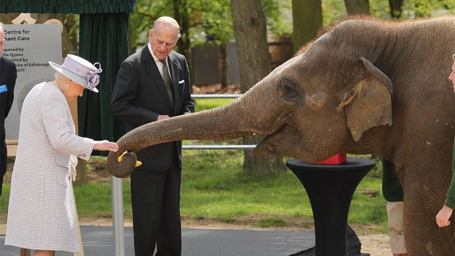 The Queen meets the baby elephant named 'Elizabeth' to celebrate her ...