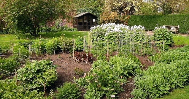 can-you-name-the-botanic-garden-found-on-kings-college-campus-in-old