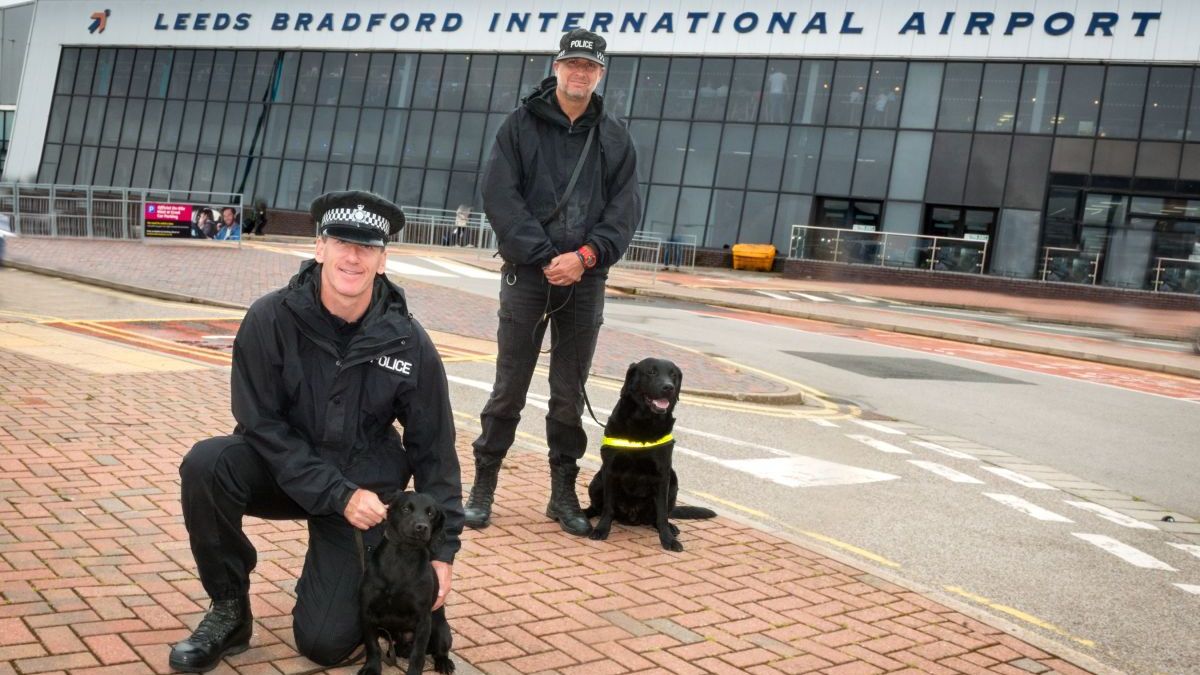 West Yorkshire Police welcome a new four-legged member to the force ...