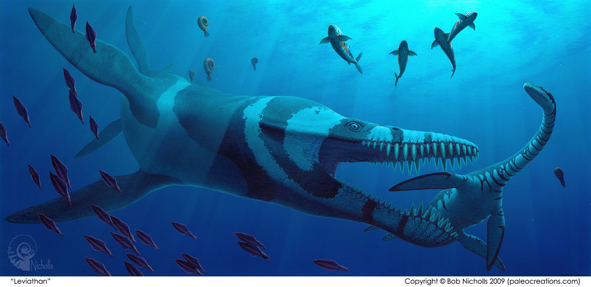 Plesiosaur swimming technique 'may to lead to more efficient submarines' | News - Wave 105