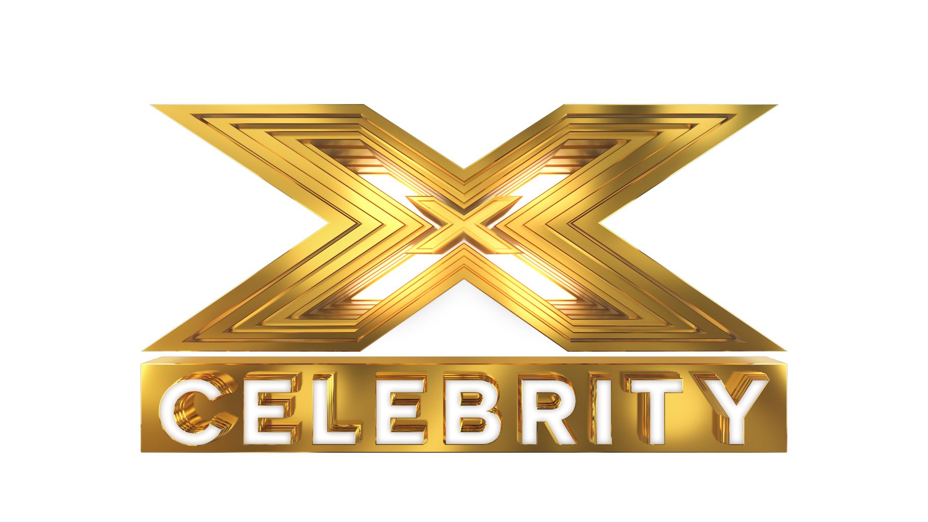 Bosses CONFIRM full line-up for Celebrity X Factor 2019 | Television