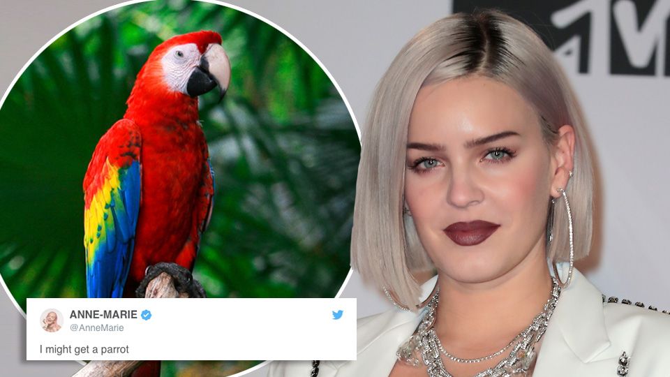 Anne-Marie on her funny tweets about J-Lo, parrots and potatoes Anne-Marie on her funny tweets about J-Lo, parrots and potatoes
