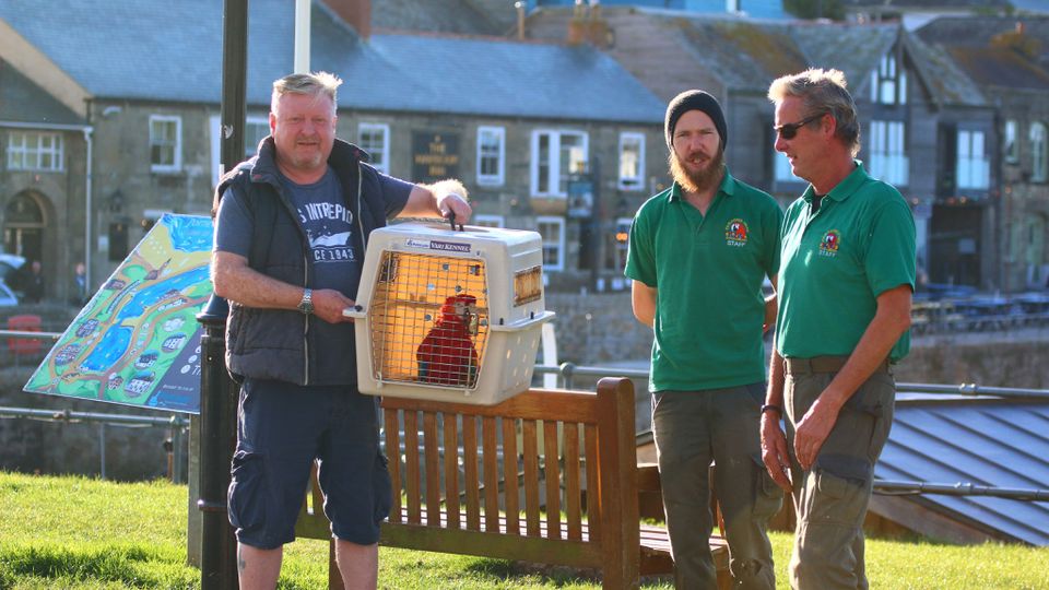 'Skittles', the parrot in a pet carrier being held up by Paul Wilson with Keeper Danny and Director Nick Reynolds stood to the right of him