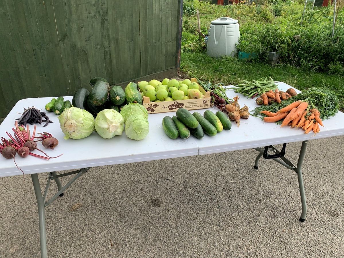 Your extra food could help someone in need in Aylesbury | News ...