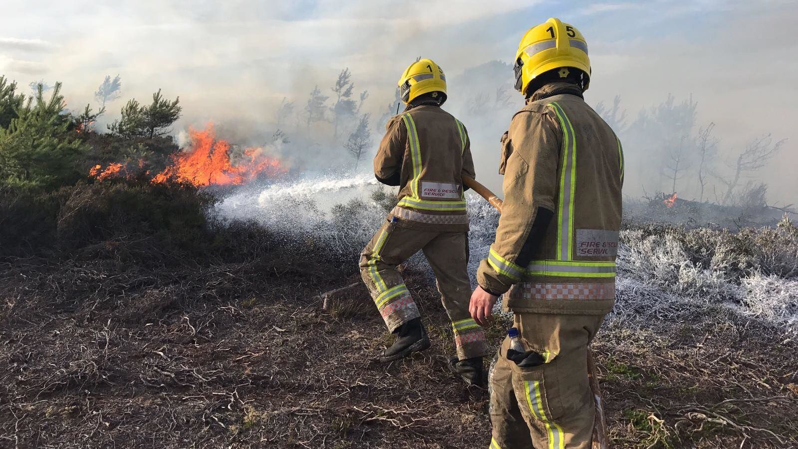 Firefighters battling brush fire in Salisbury