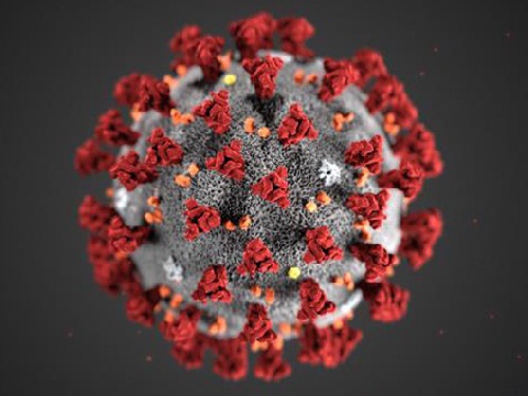 Pupils self-isolating after coronavirus case confirmed at Ipswich school