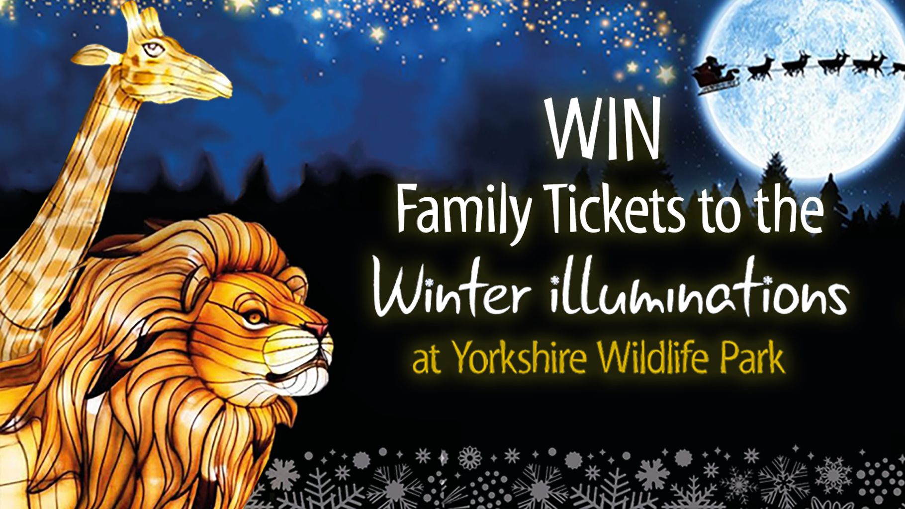 Win Family Tickets to the Winter Illuminations at Yorkshire Wildlife Park