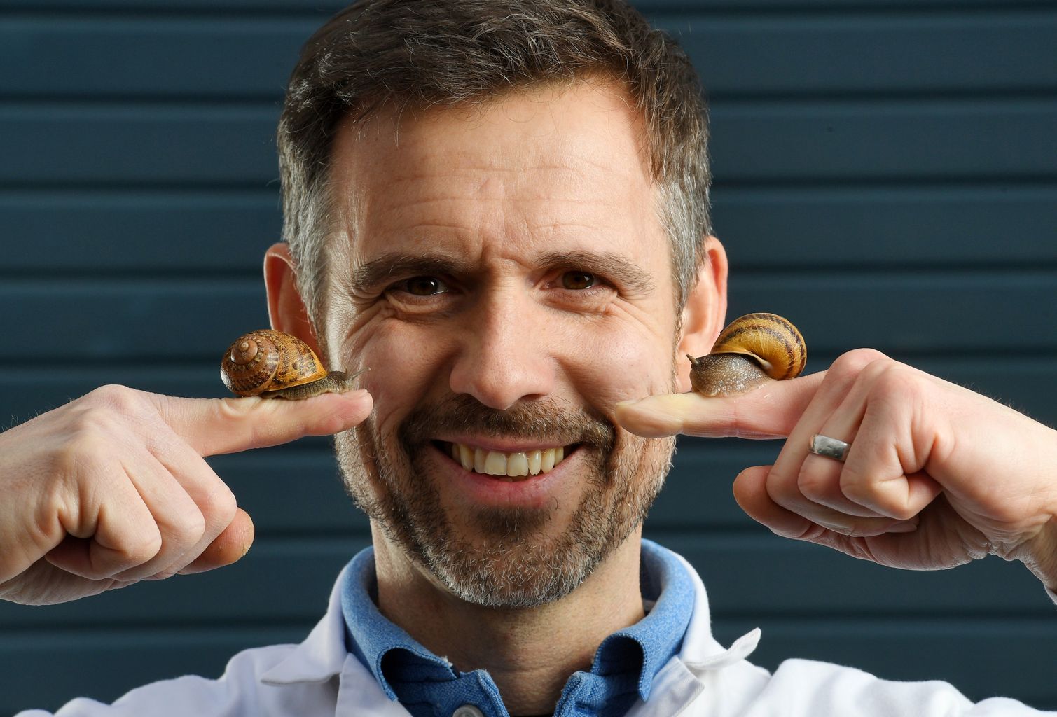 Snail sales are far from sluggish in Dorset News Greatest Hits