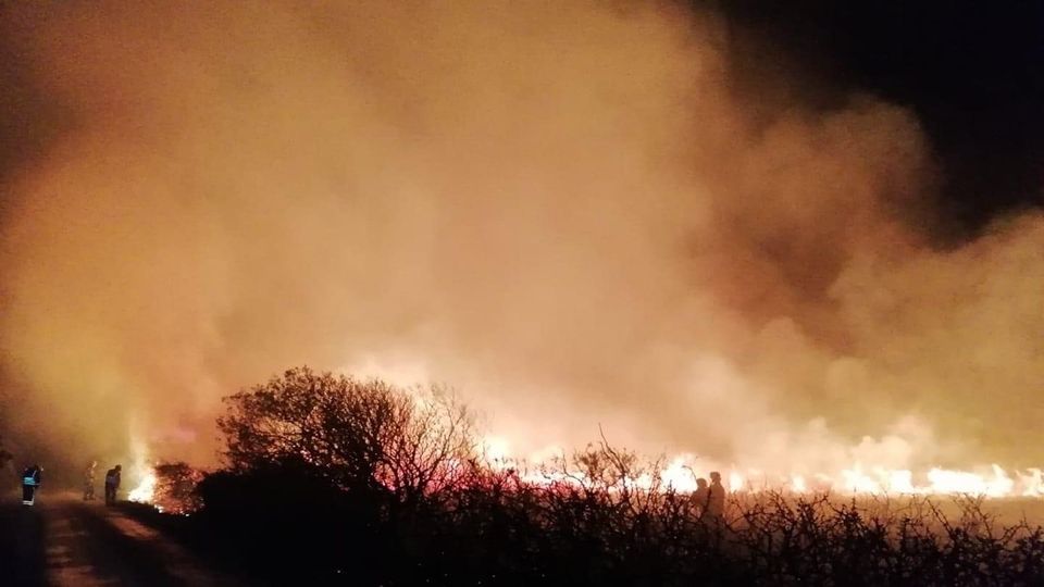 Gorse fire on the Lizard