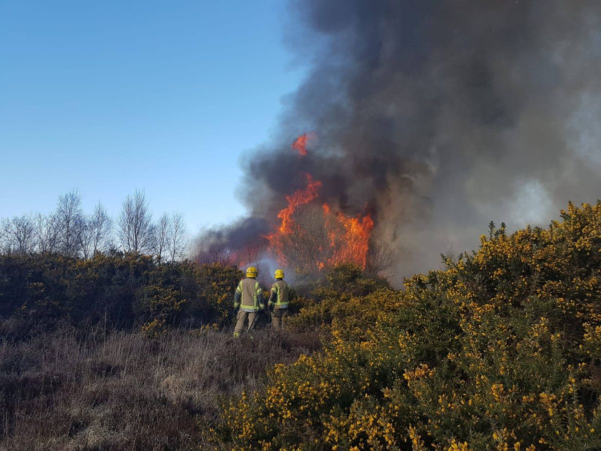 More than 60 firefighters were needed to tackle a heath fire in Dorset ...