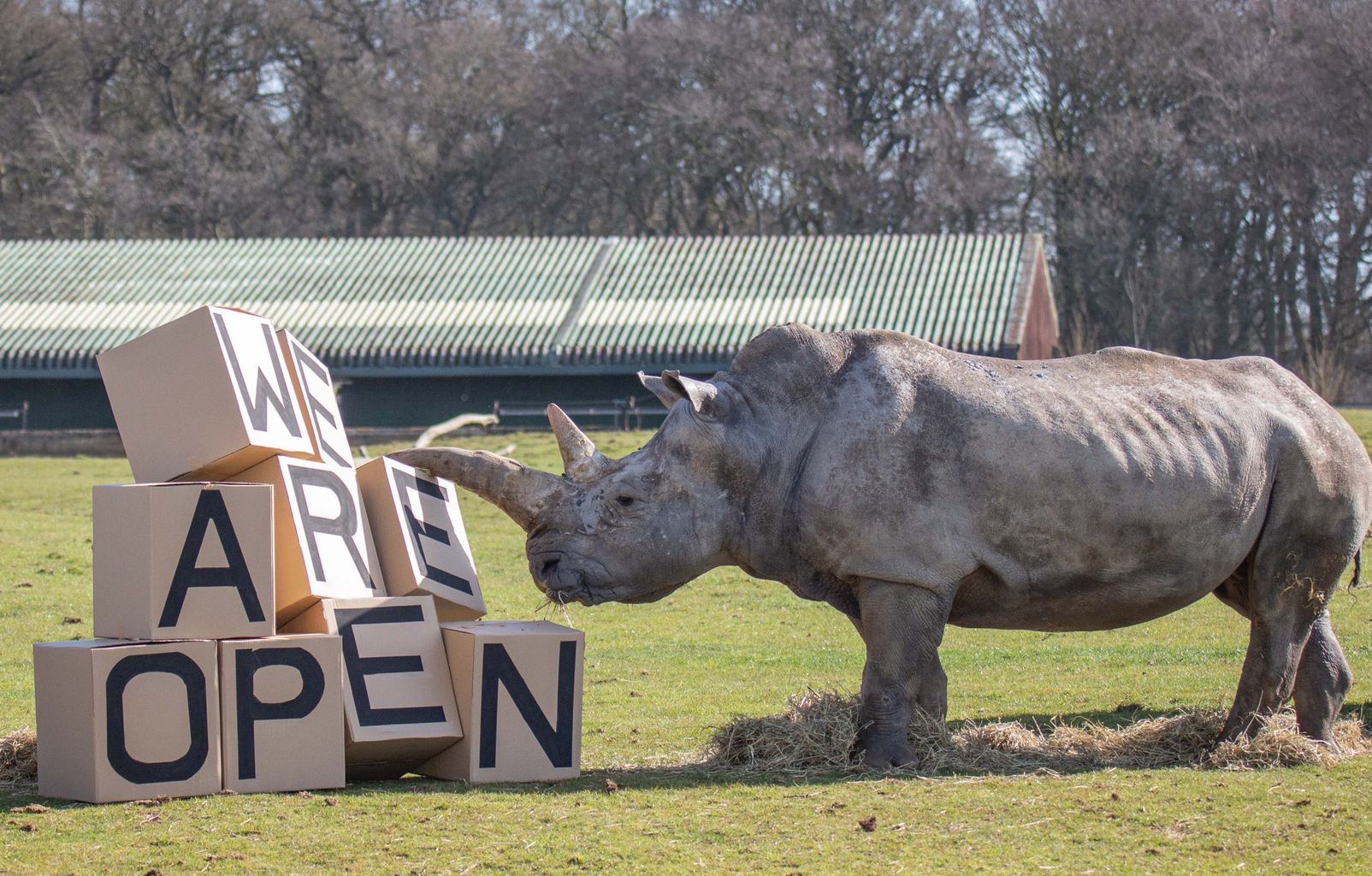 Whipsnade Zoo reopens with a crash