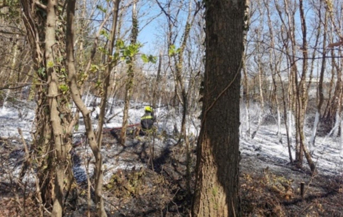 Firefighters called to number of fires in the open across Devon