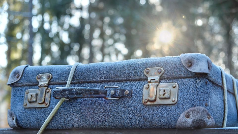 Luggage