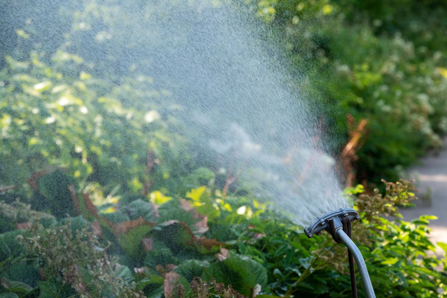 people-in-rutland-urged-to-cut-back-on-their-water-usage-as-heatwave