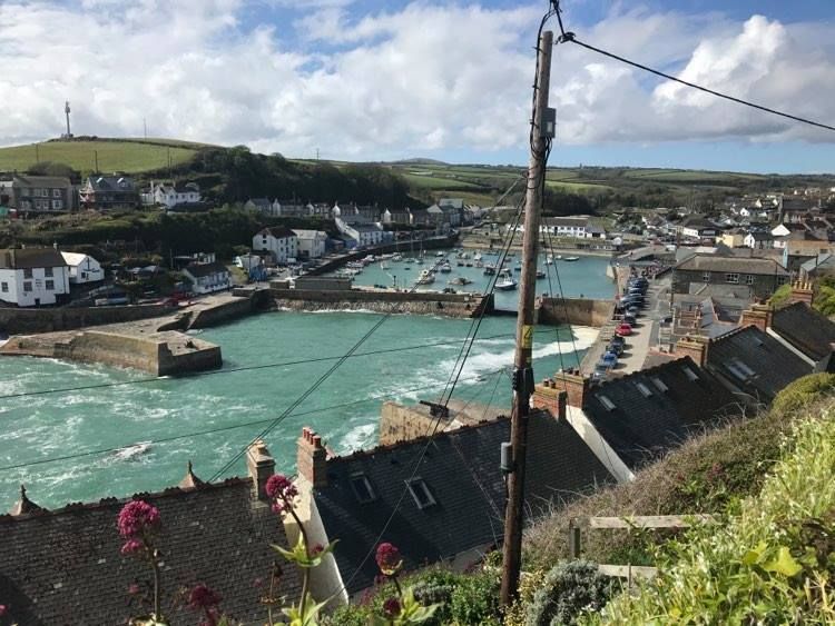 Dog dies after fire at fish and chip shop in Porthleven News Pirate FM