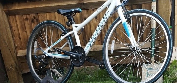 Police appeal after bicycle stolen in Ipswich