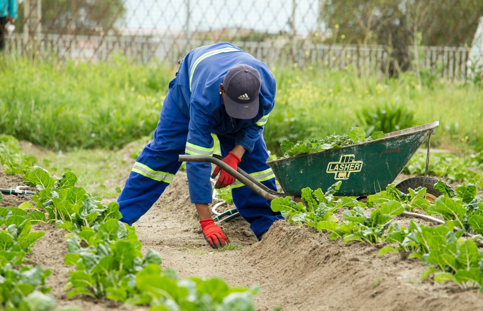 farmers-in-the-east-warn-prime-minister-s-economic-plan-won-t-fix