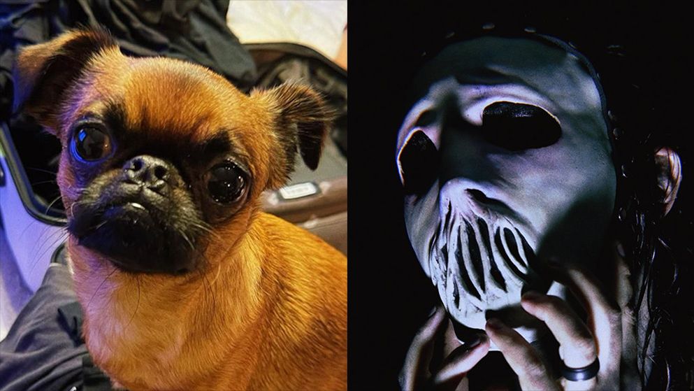 Watch Jay Papaya react to scary Slipknot mask