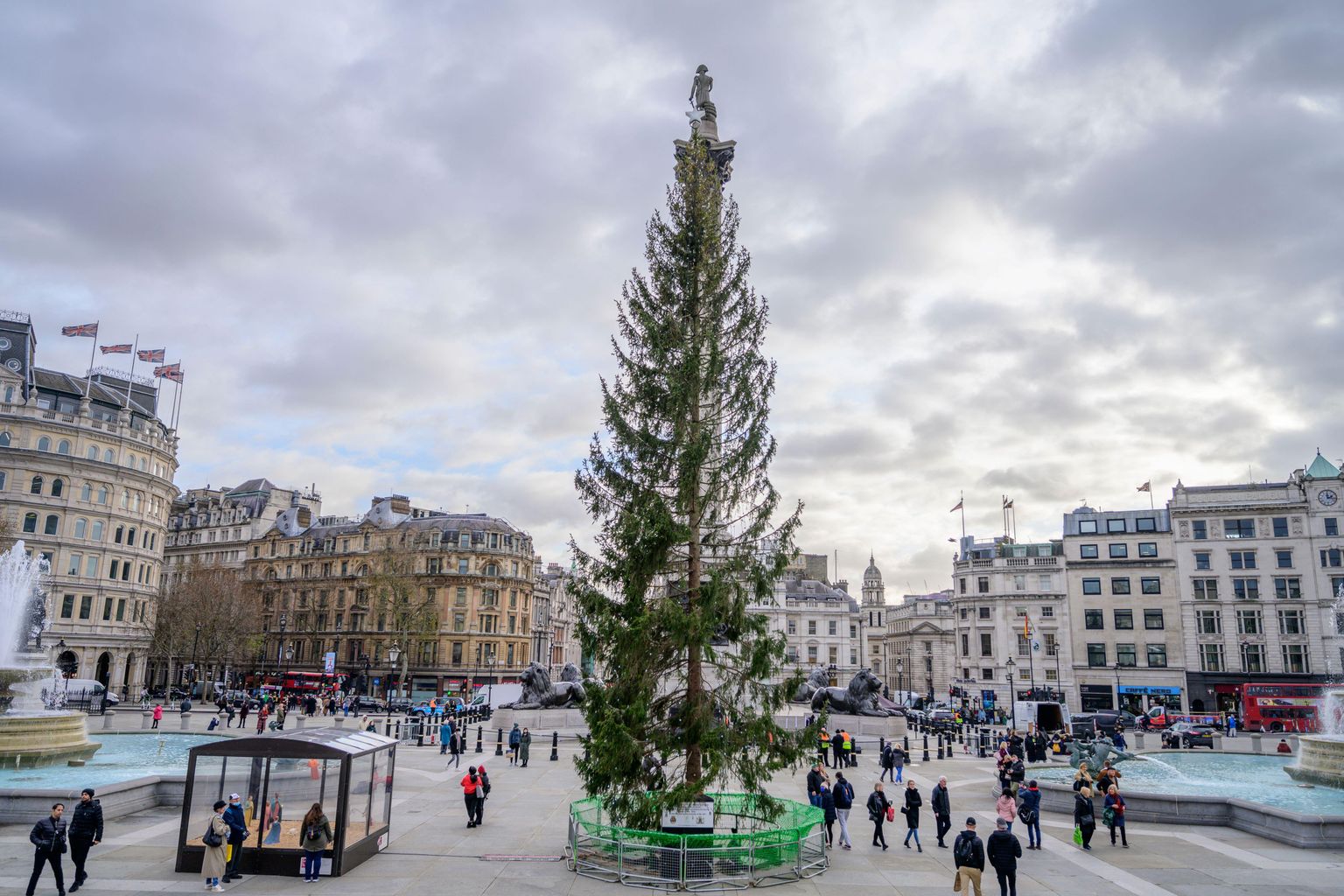 No new Christmas tree for Trafalgar Square News Hits Radio (London)