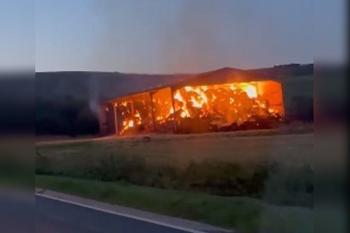 Teen arrested following spate of barn fires in East Sussex 