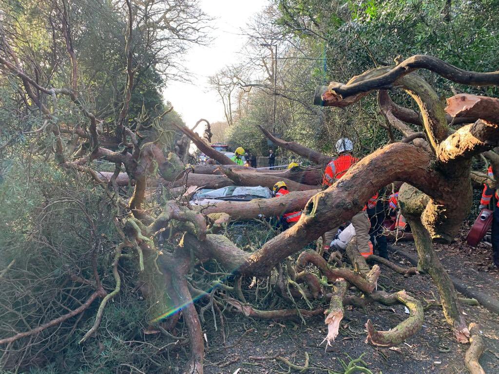Woman rescued after tree falls on her car in Greater Manchester | News ...