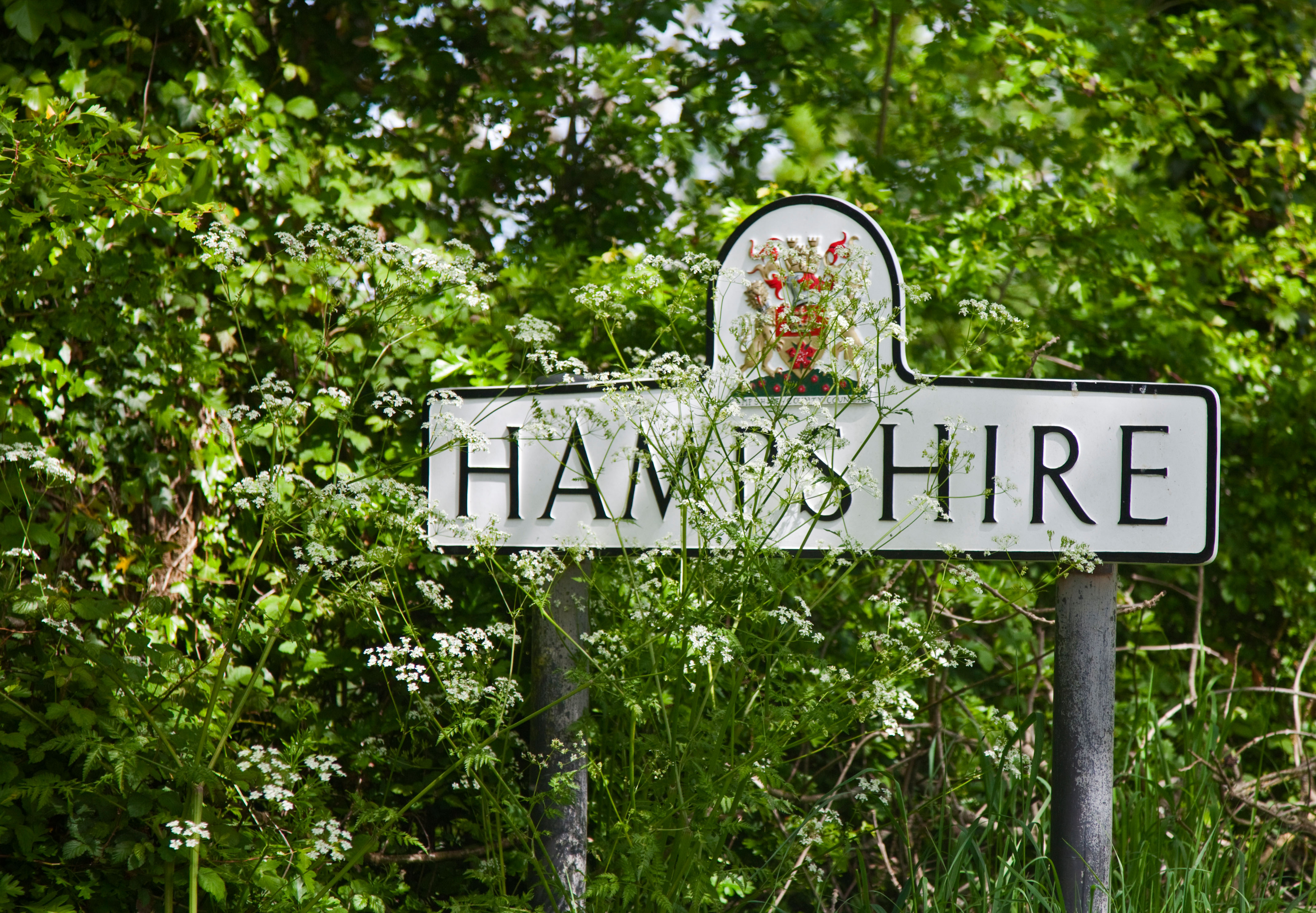 Hampshire could be "left behind" by government's levelling up plan