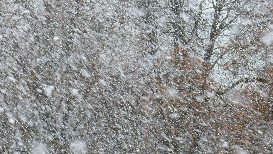 Snow