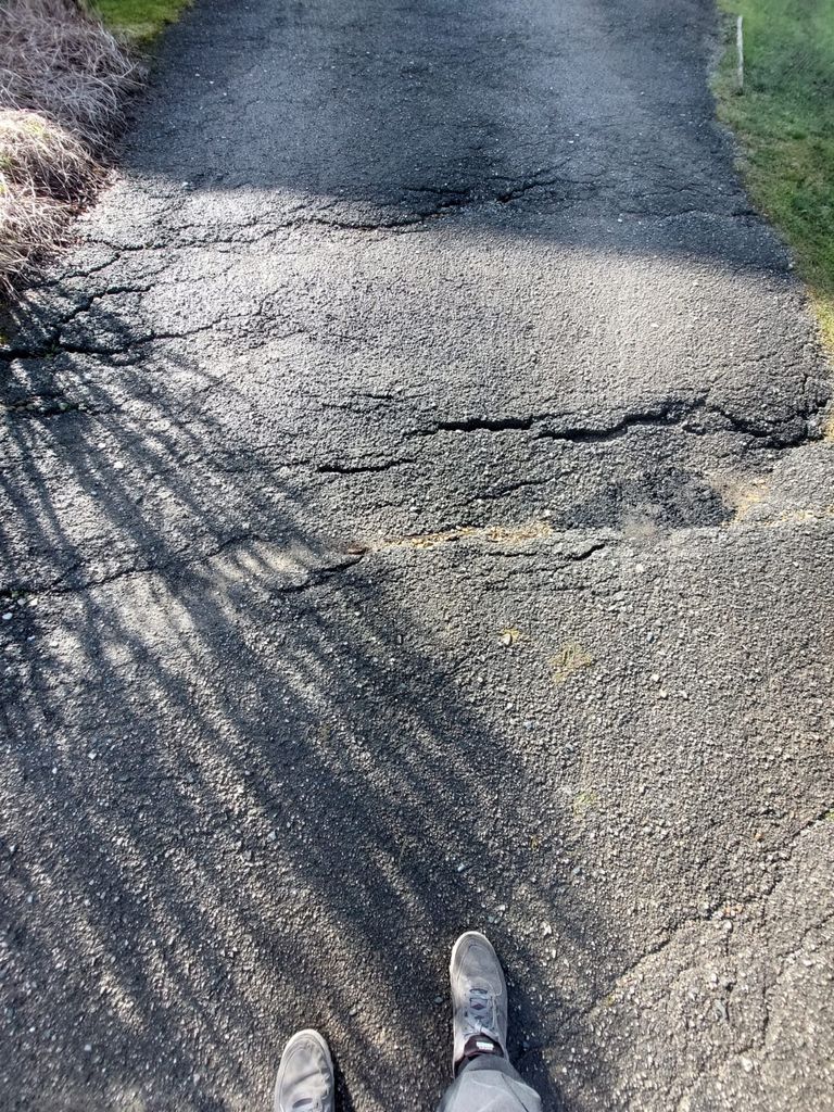 Cracks in the road at Beechwood Avenue