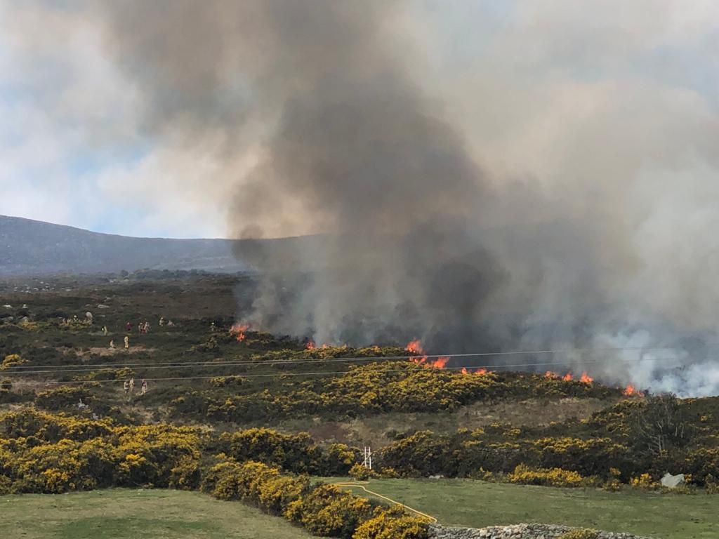 MOURNES: Gorse fire at Bloody Bridge | News - Cool FM