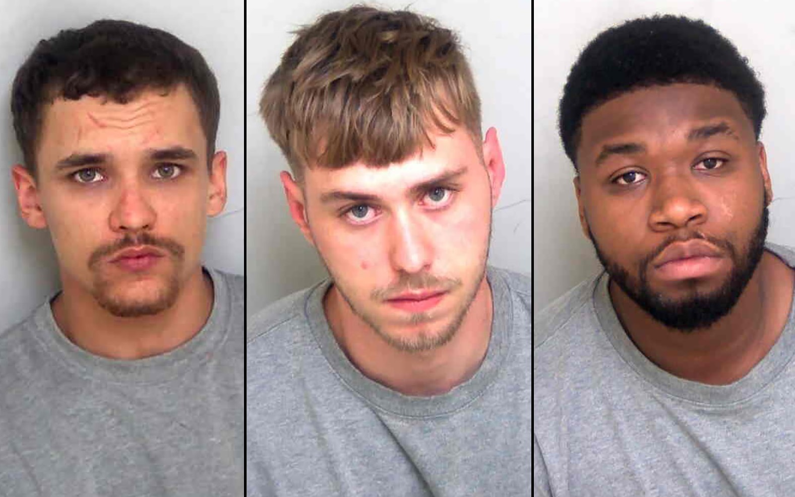 Three men jailed for combined 57 years after machete attack in South ...