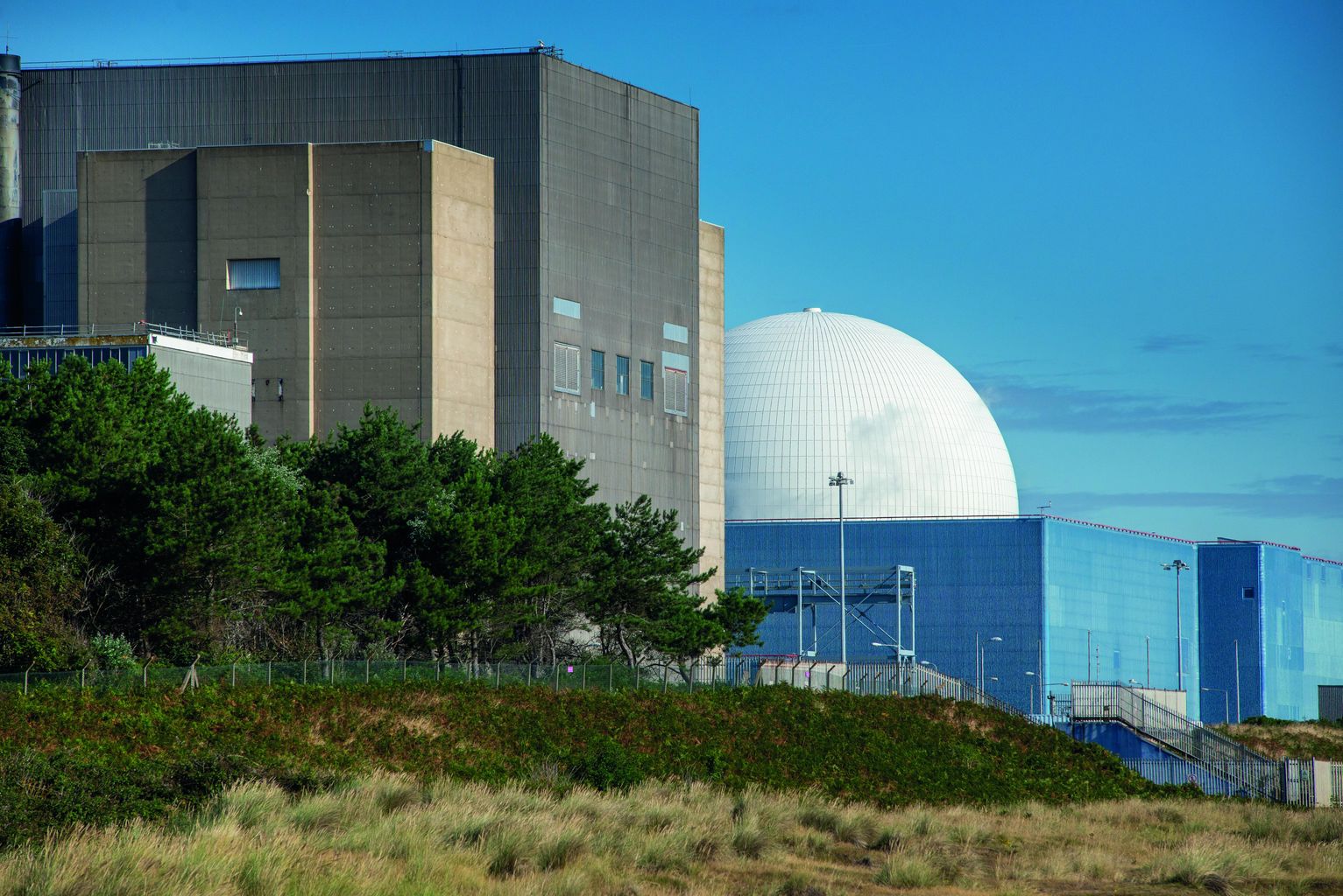 Sizewell B to be back online in 'next 24 hours' after unexpected ...