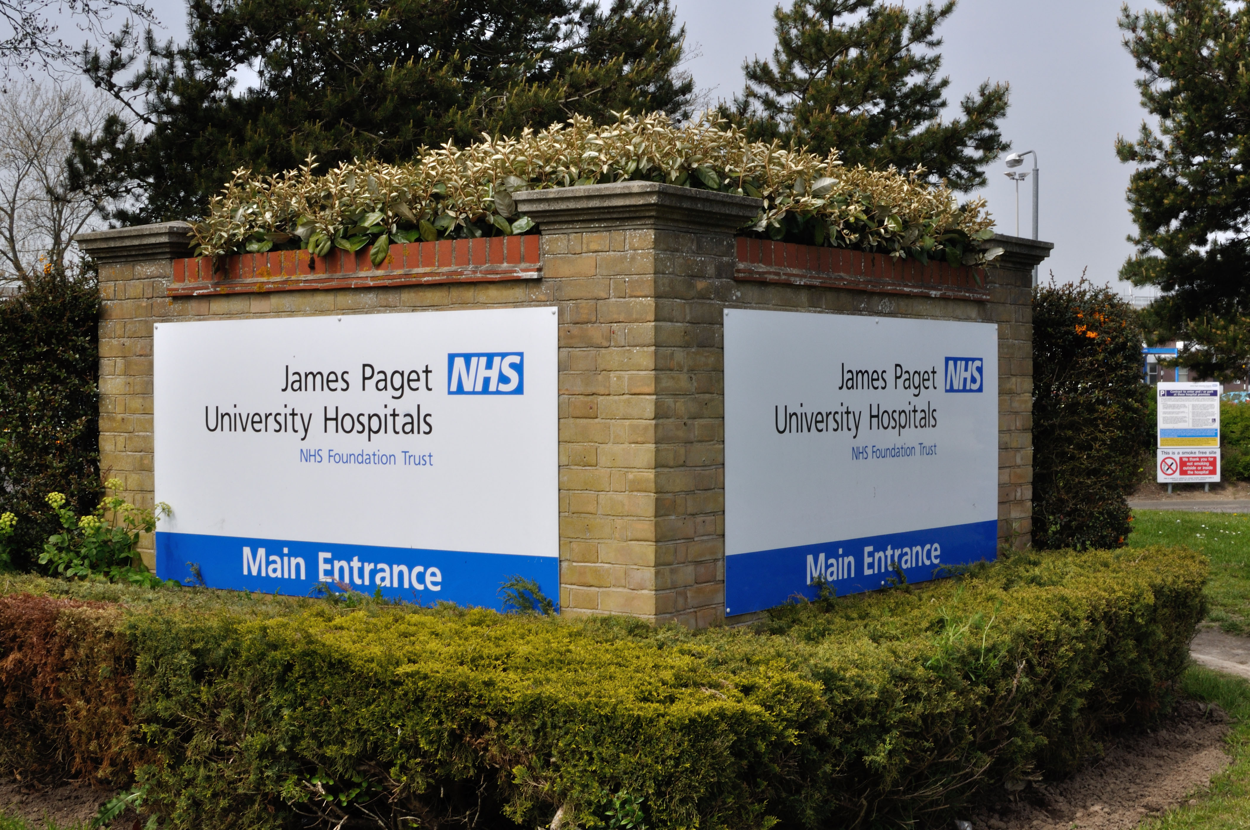 James Paget Hospital Becomes First In The UK To Start Peanut Allergy ...