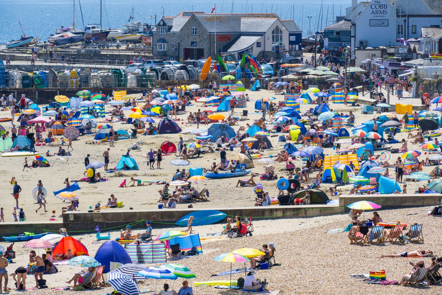 Bucks, Beds & Herts braced for 'unprecedented' temperatures as heatwave