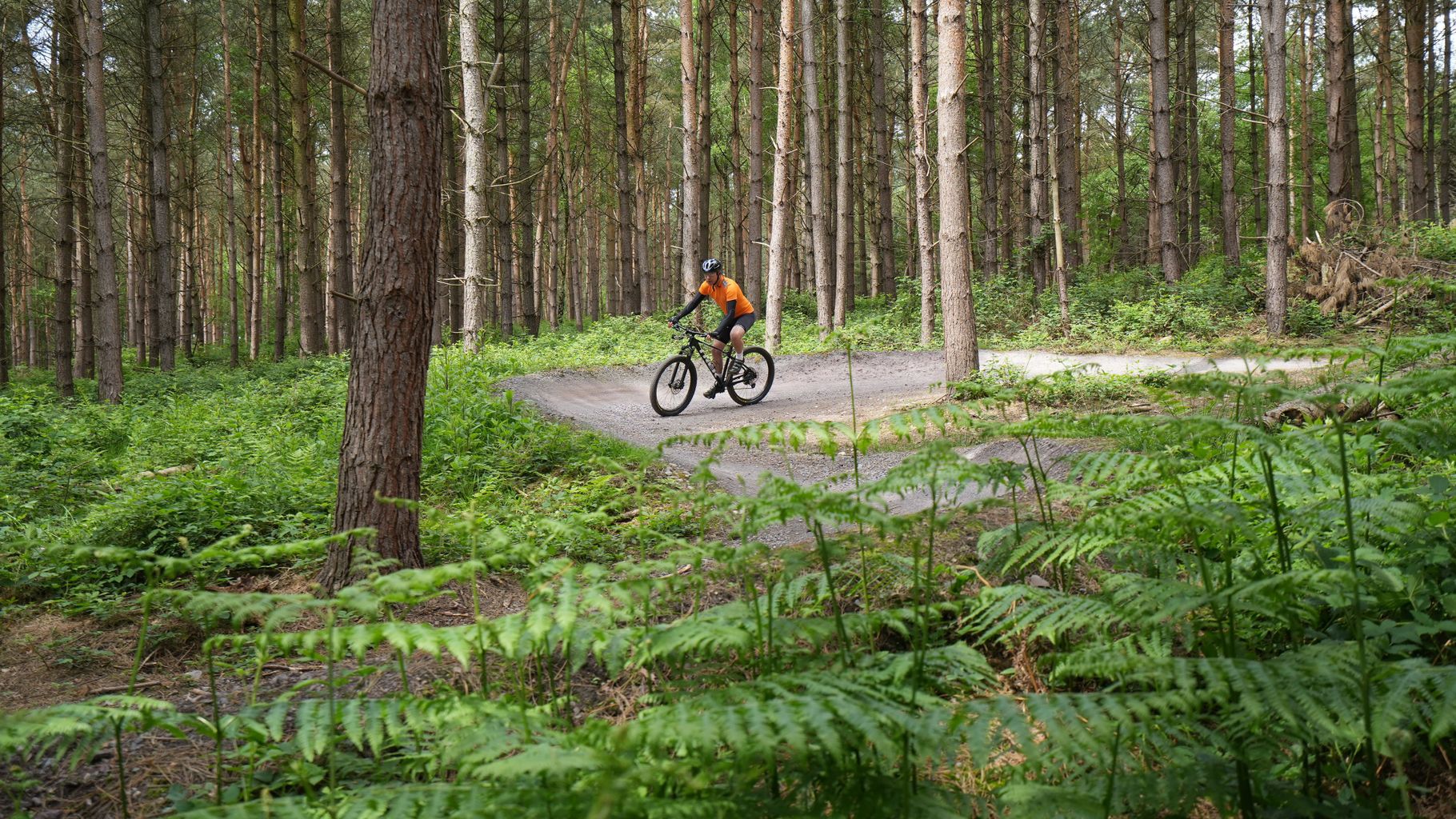 Cannock Chase Forest getting ready to host mountain biking for ...