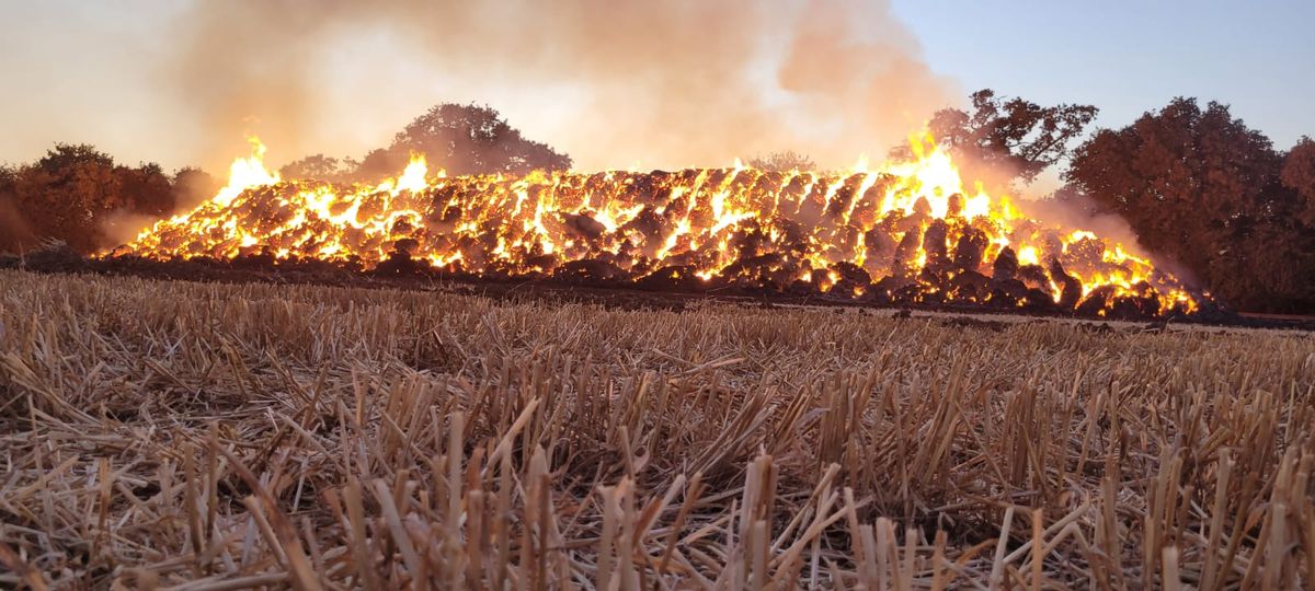 Huge increase in wildfires across Hampshire and Isle of Wight | News ...