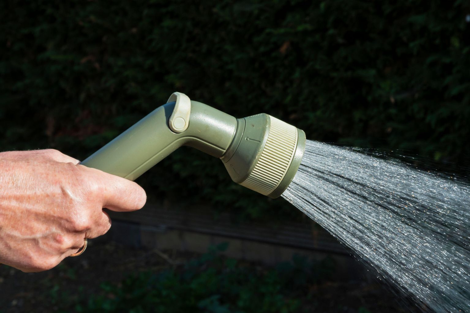 Thames Water confirm hosepipe ban in Berkshire and north Hampshire