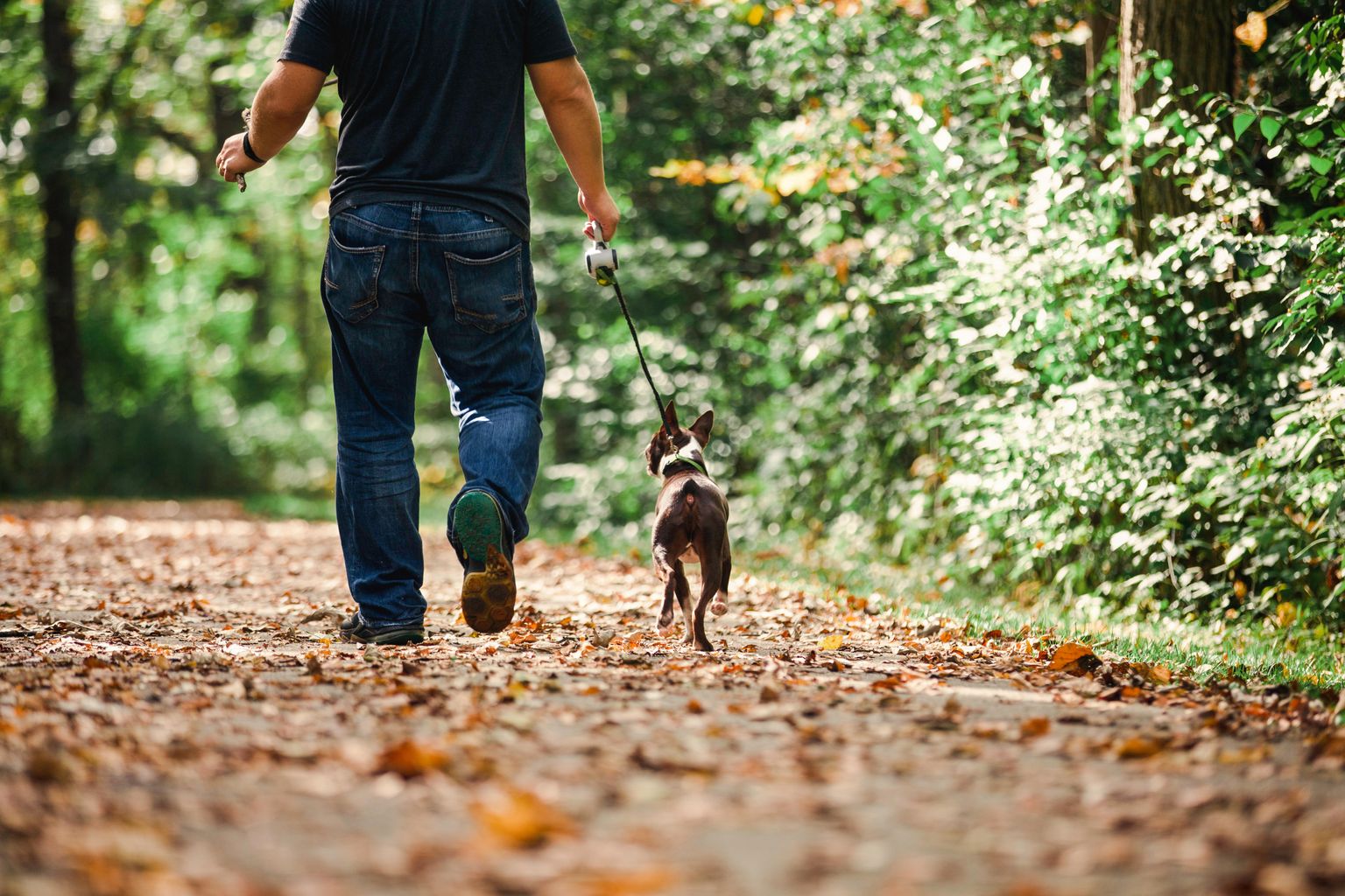 gps-to-prescribe-walking-and-cycling-as-part-of-new-pilot-scheme-news