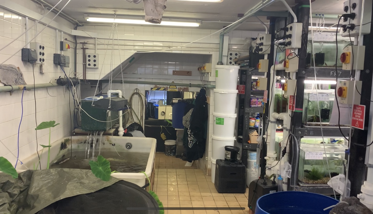 New Bristol Zoo aims to be conservation leader