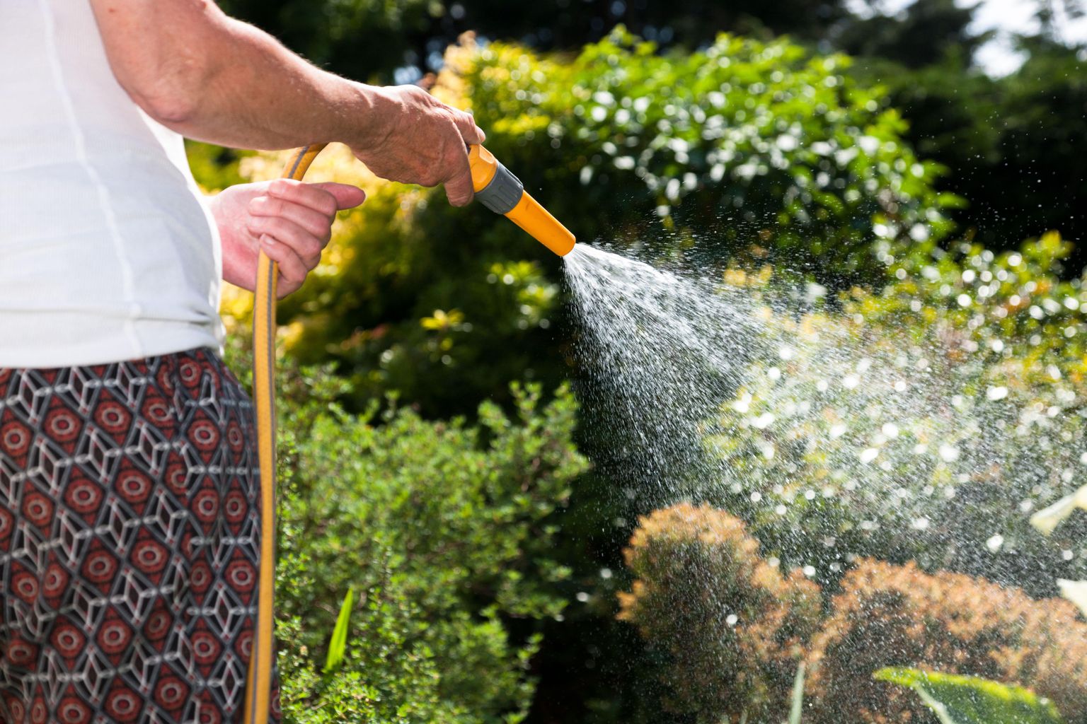 Hosepipe ban could last 'well into' next year, according to Yorkshire Water