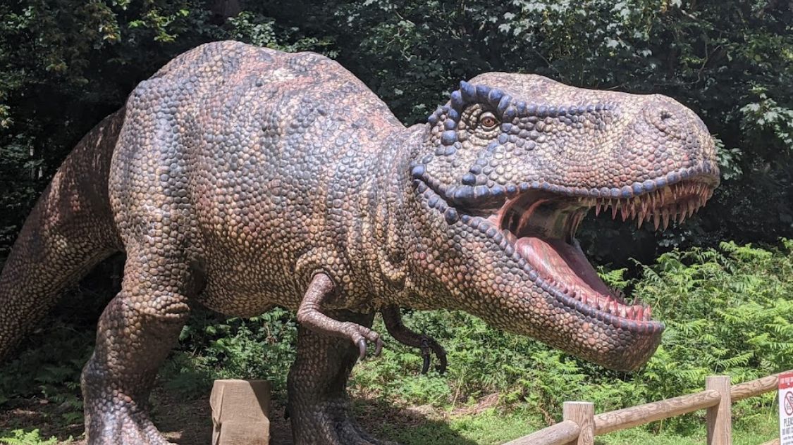Norfolk Dinosaur Theme Park Granted Permission To Expand News norfolk-dinosaur-theme-park-granted-permission-to-expand-news