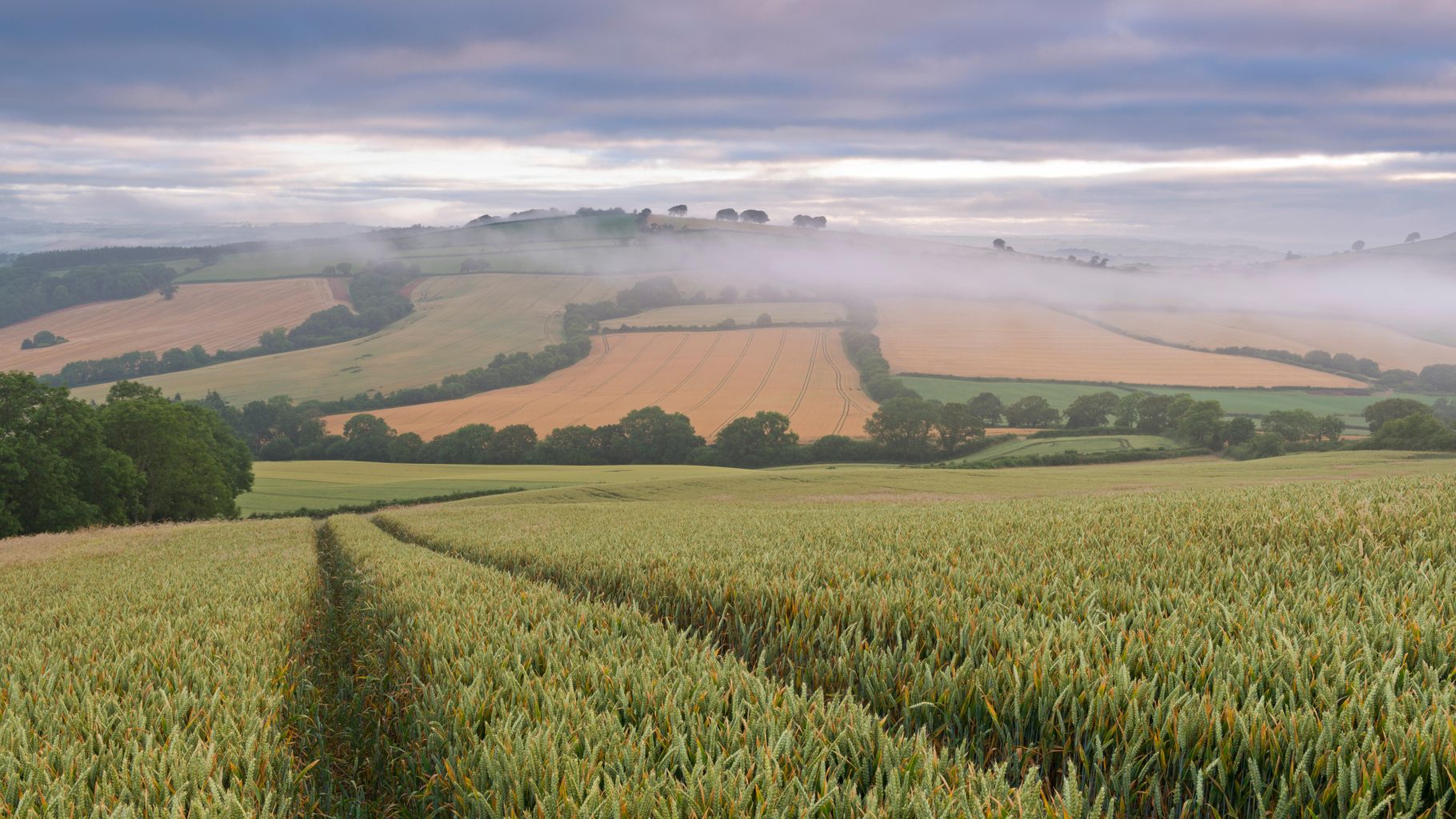 Farmwise Devon returns teaching youngsters about the countryside | News ...