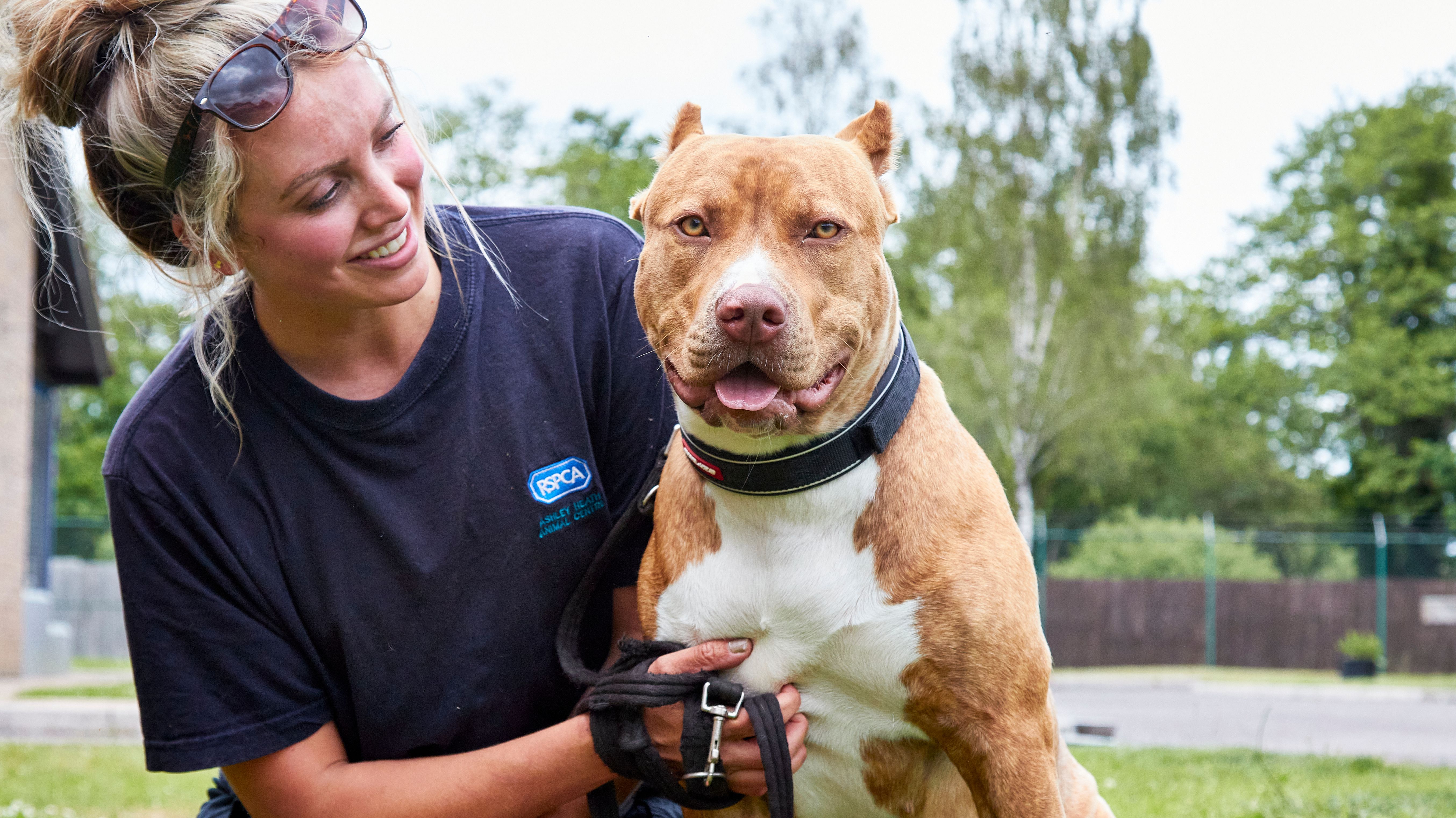 Animals waiting for space in 'full to bursting' RSPCA centres in Suffolk |  News - Greatest Hits Radio (Ipswich & Suffolk)