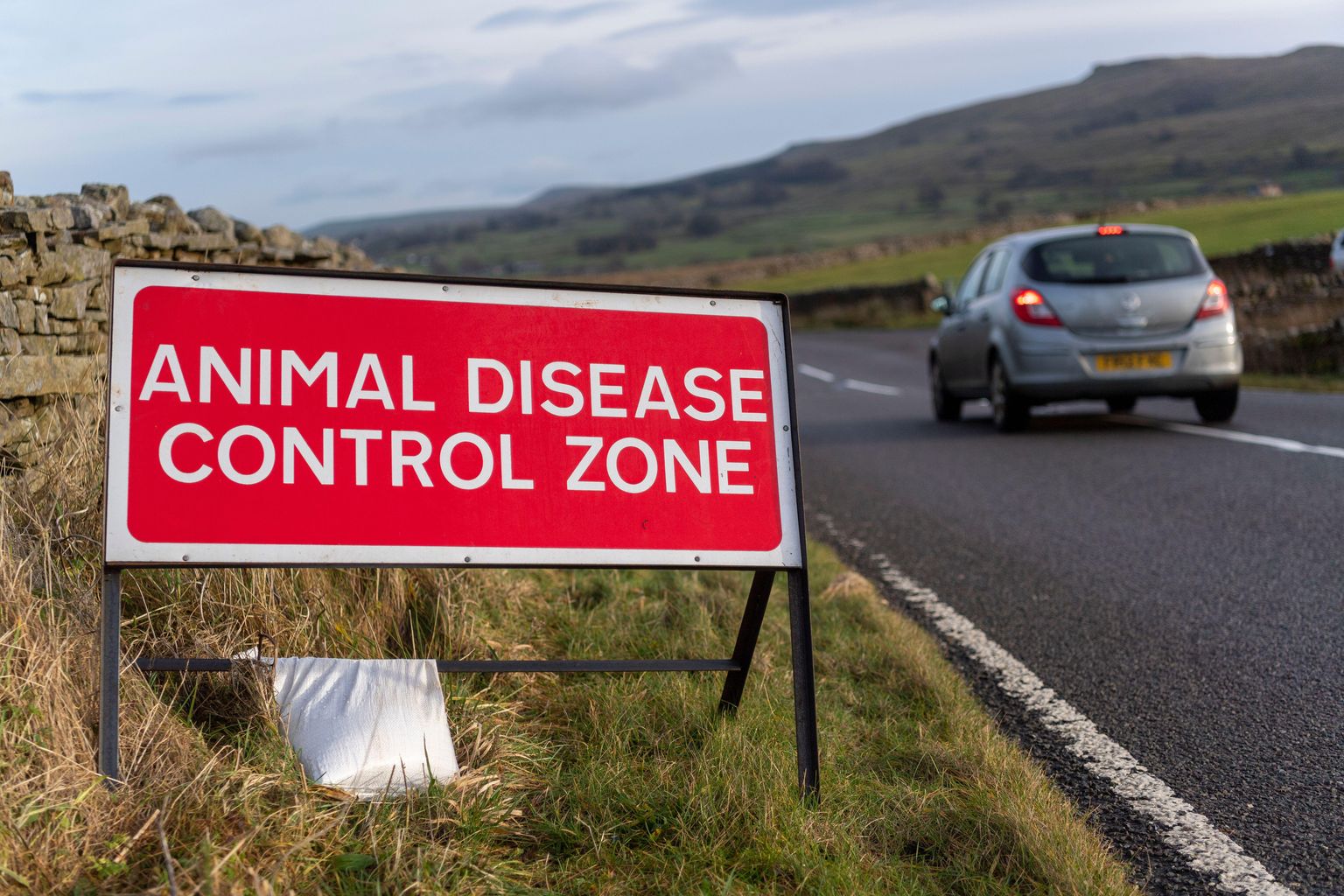A control zone has been declared after bird flu has been detected near