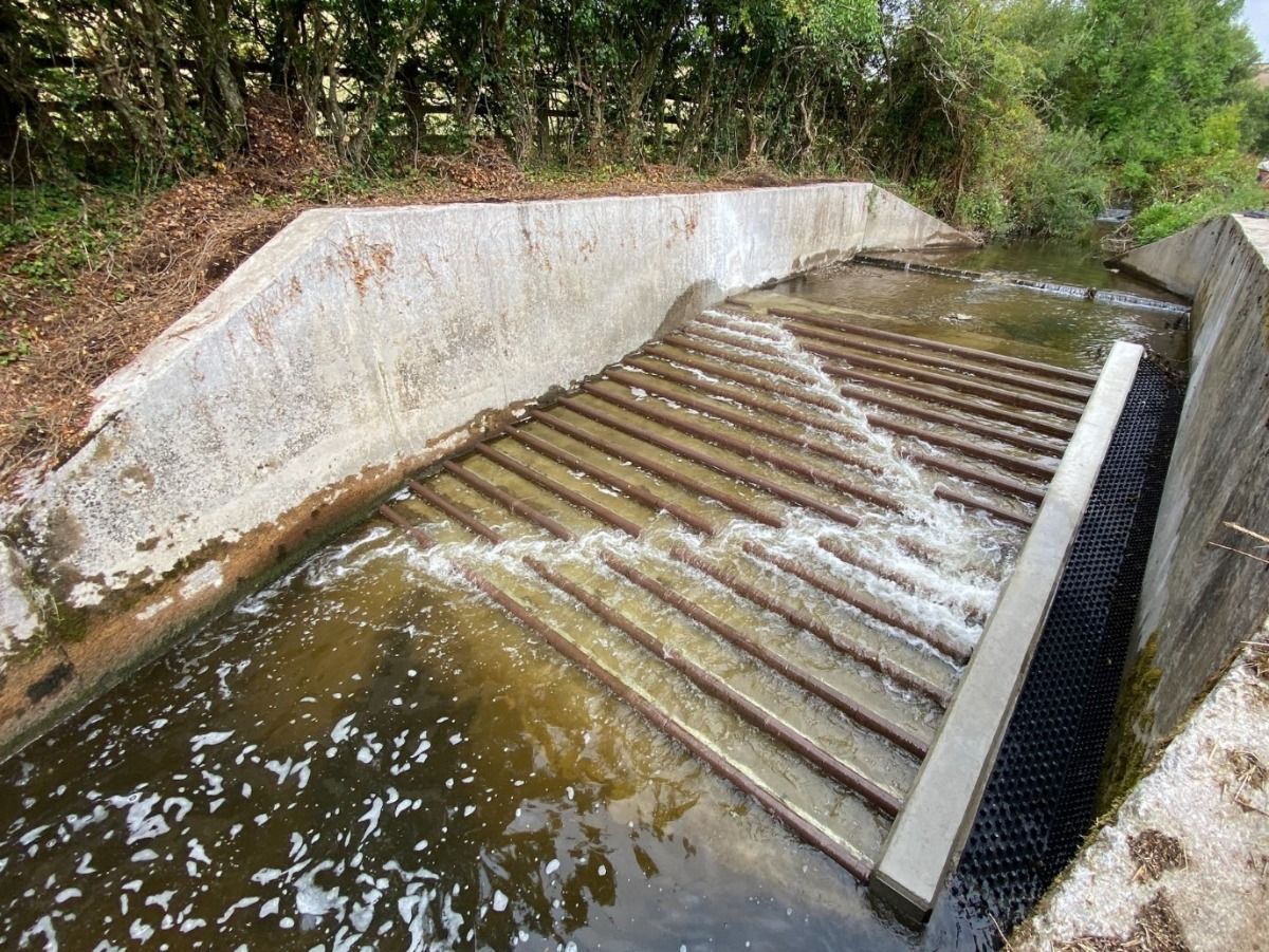 Fish pass project goes swimmingly well on Devon's River Ashburn | News ...