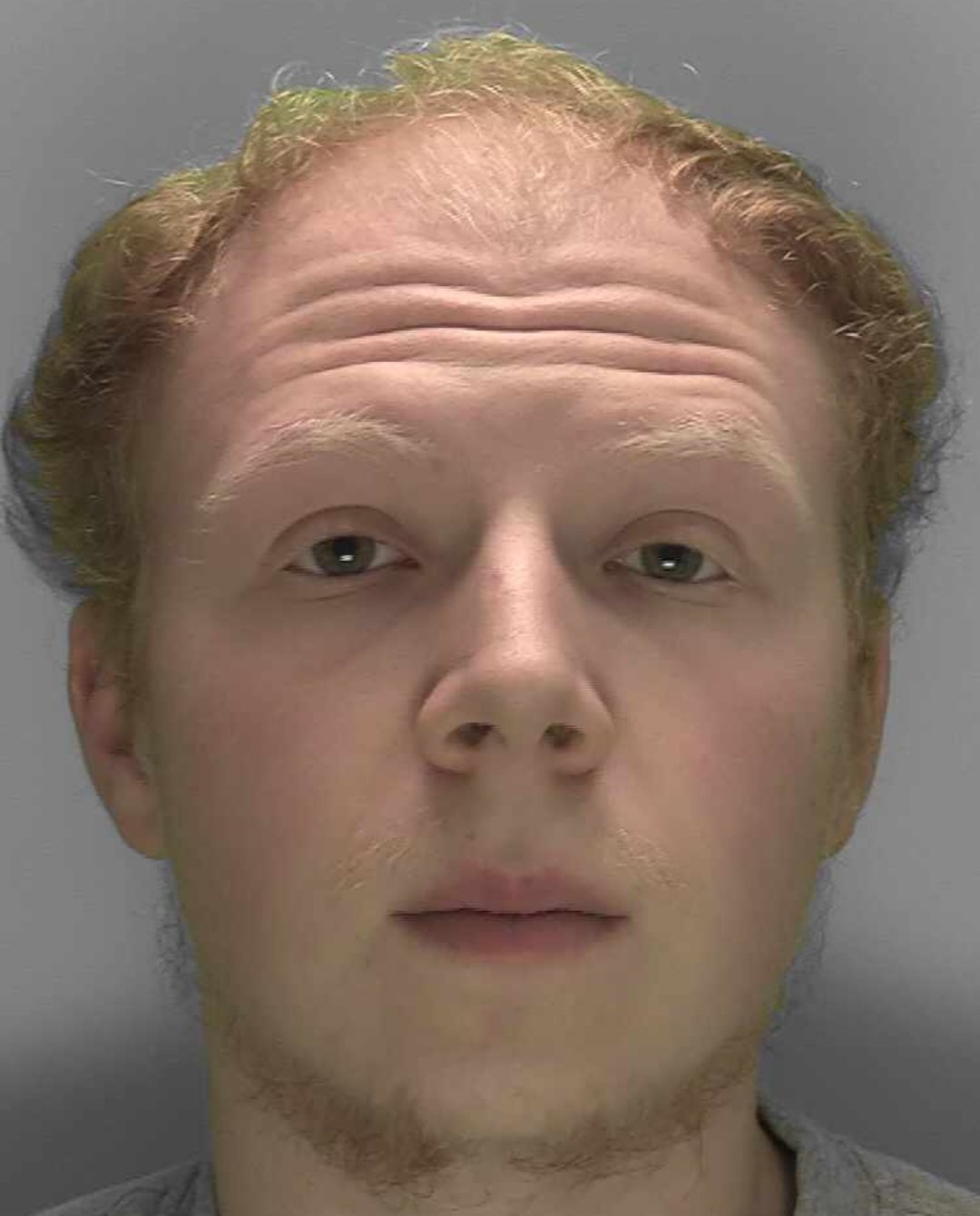 Crawley man jailed for unprovoked attack on dog walker | News ...