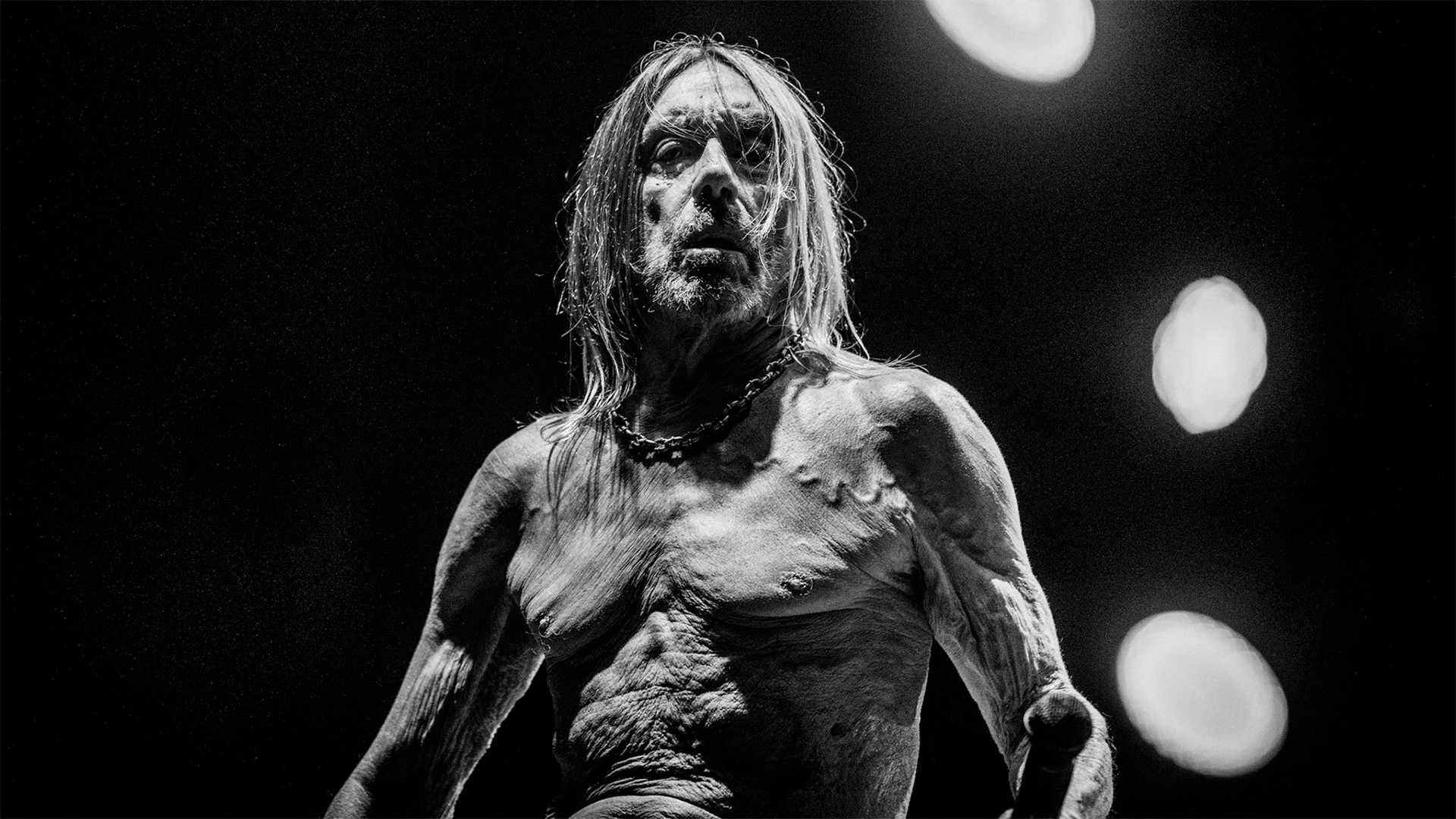 Iggy pop gene 2025 simmons