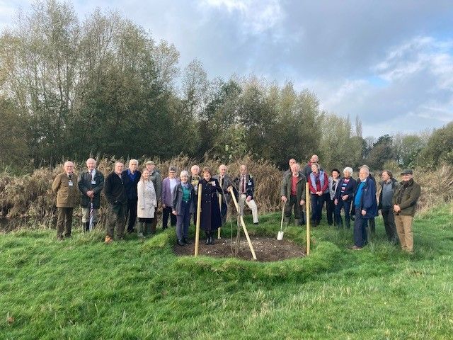 Harnham Water Meadows now home to Queen's Tree | GHR Salisbury