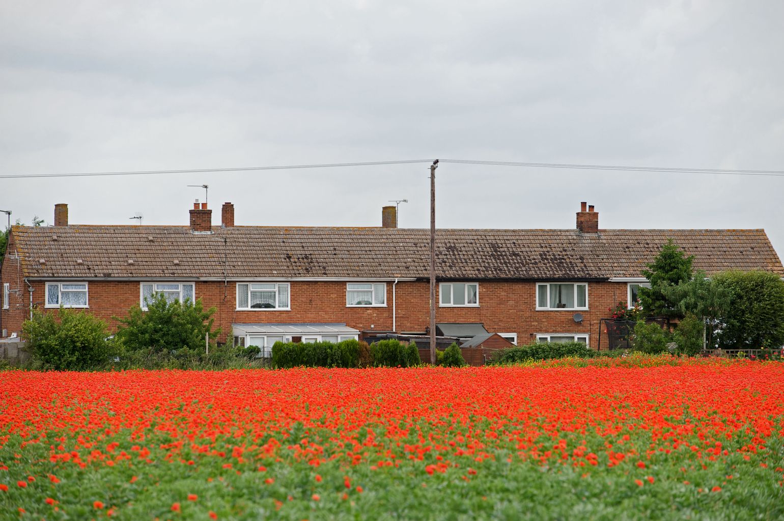 Social renter in Wymondham calls for laws to tackle housing disrepair issue